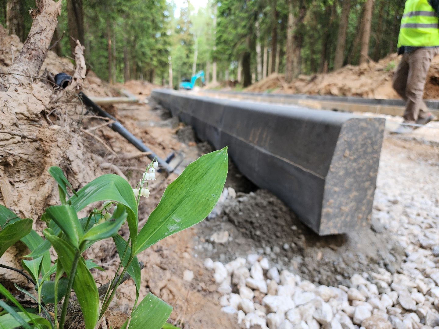 истра, лесопарк, благоустройство,