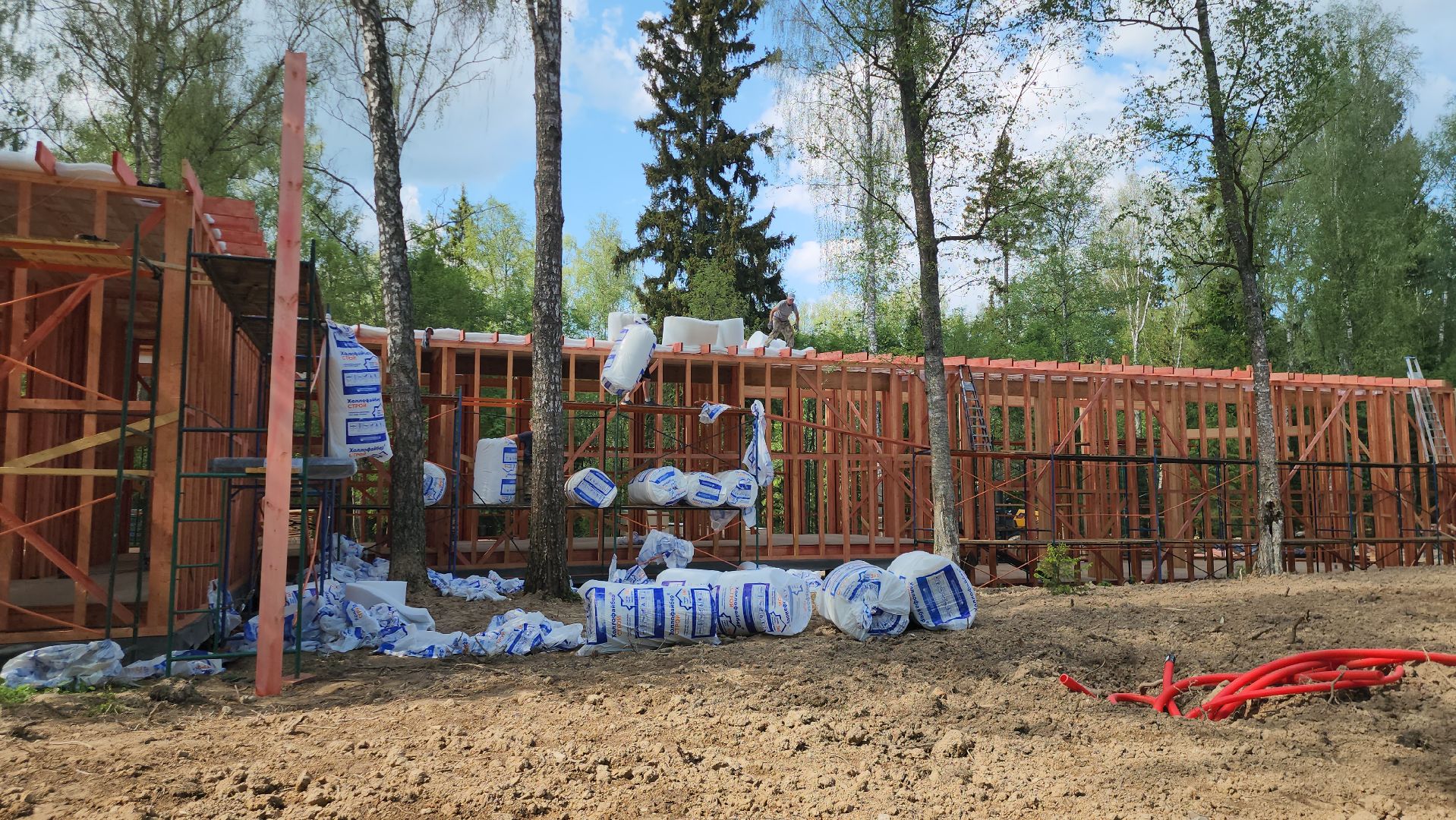 истра, лесопарк, благоустройство,