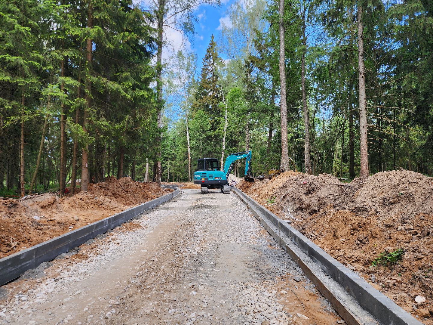 истра, лесопарк, благоустройство,