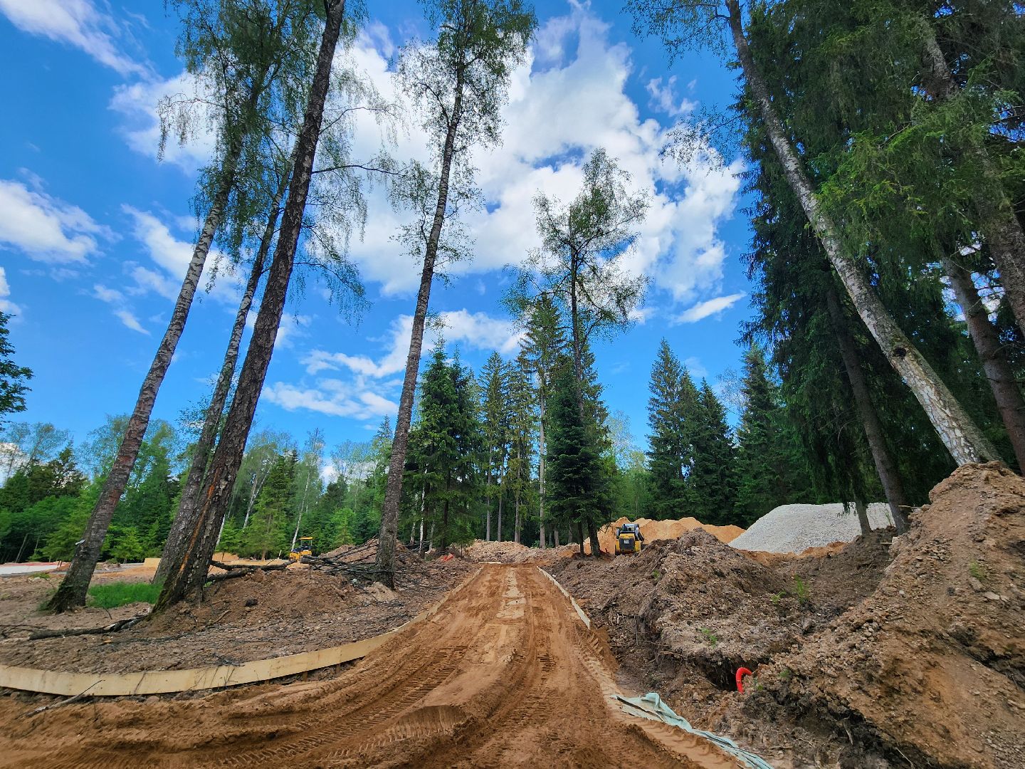 истра, лесопарк, благоустройство,