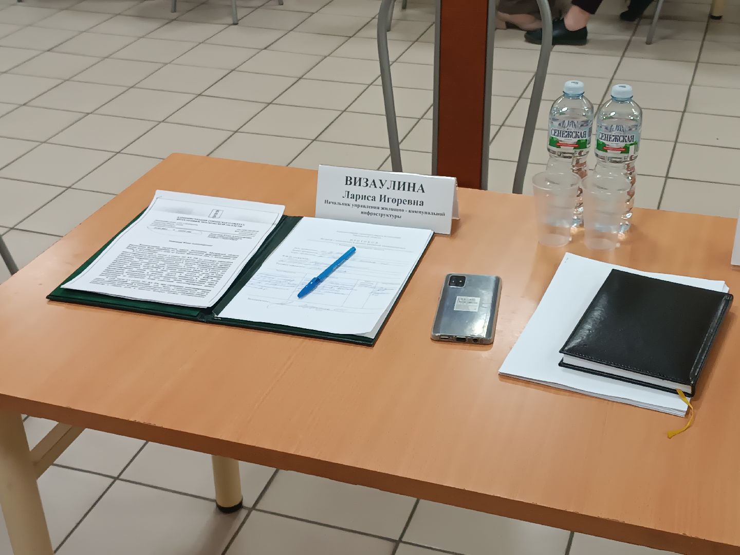 выездная администиация, котельники, вопросы жителей, решение проблем, глава,