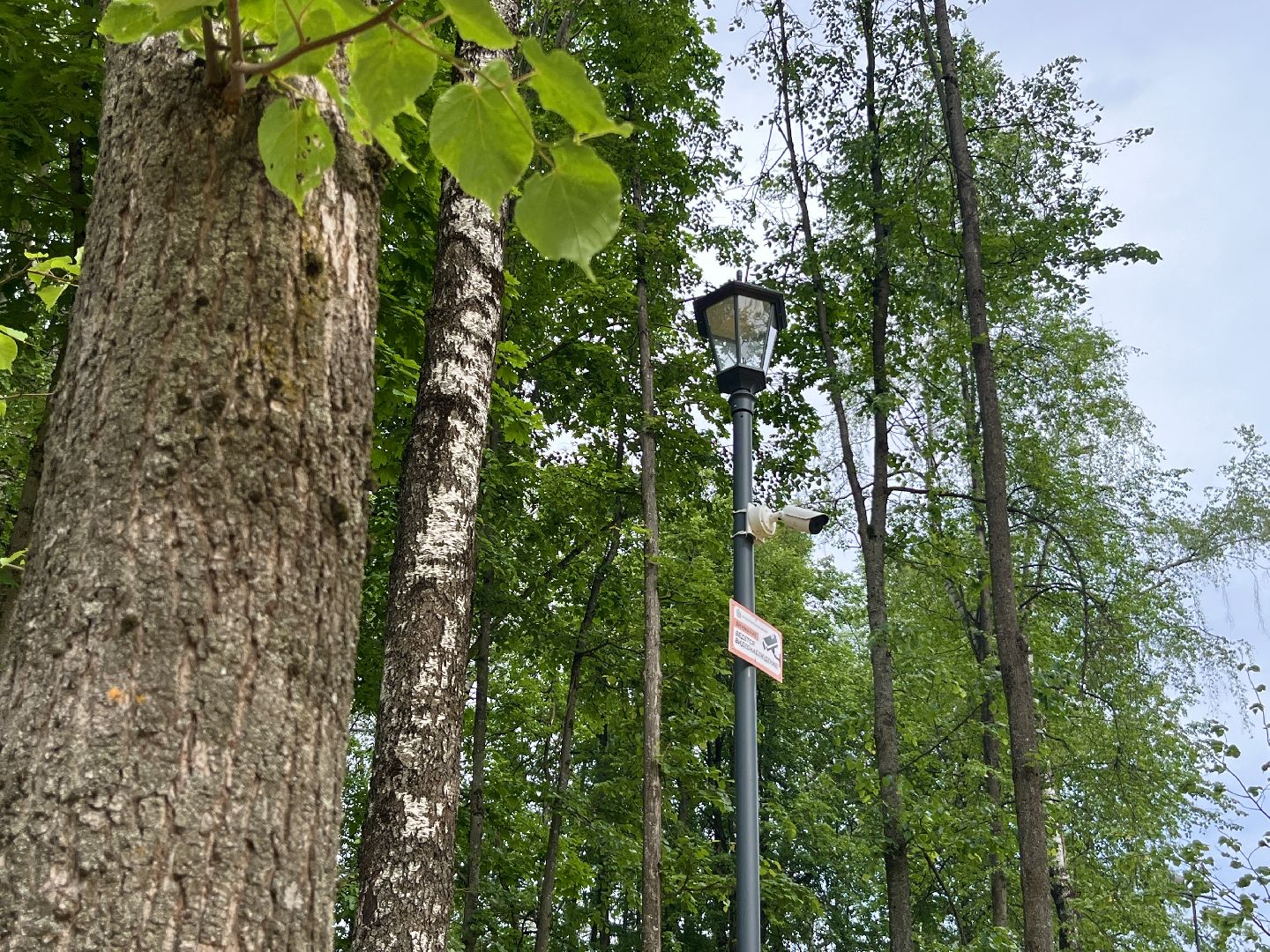 наро-фоминск, наро-фоминский городской округ, чистота и порядок, бобруйский сквер, безопасный регион,