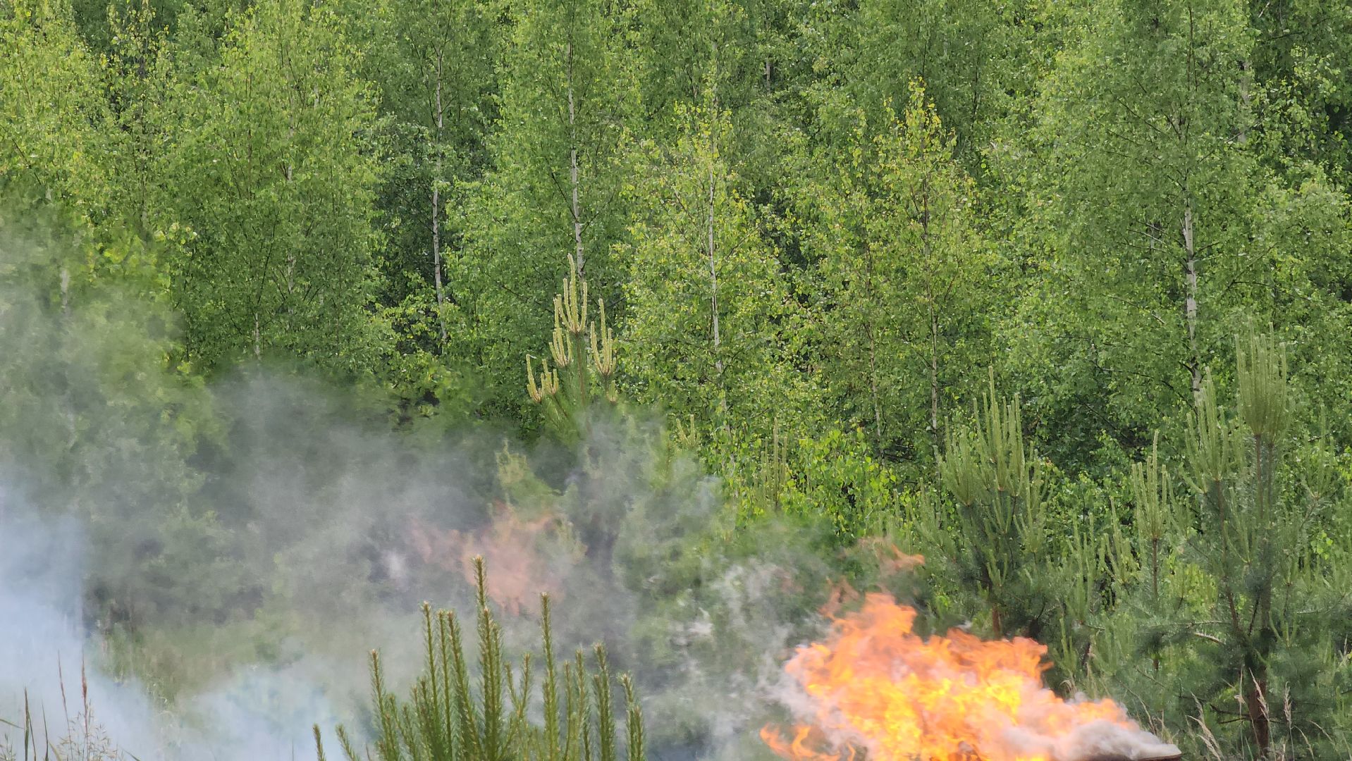 Луховицы, Учения,