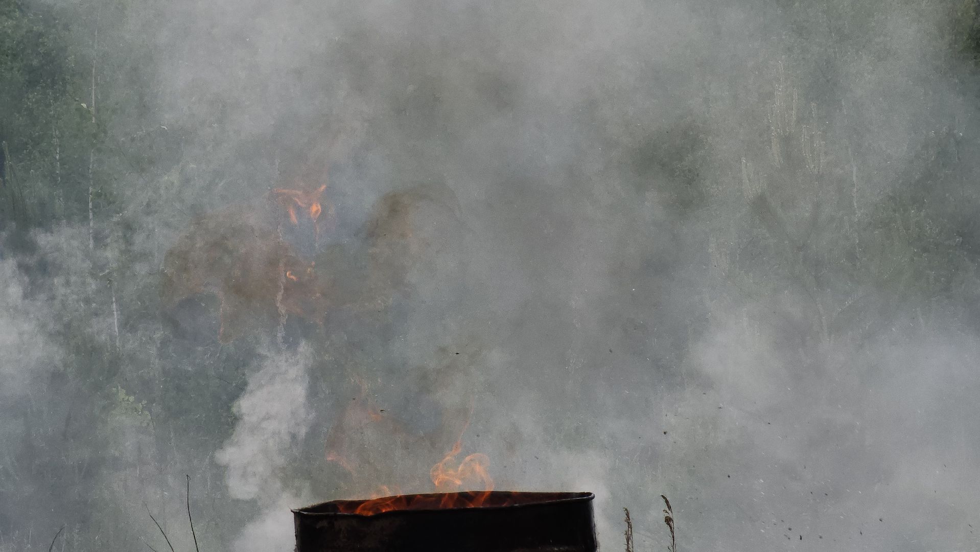 Луховицы, Учения,