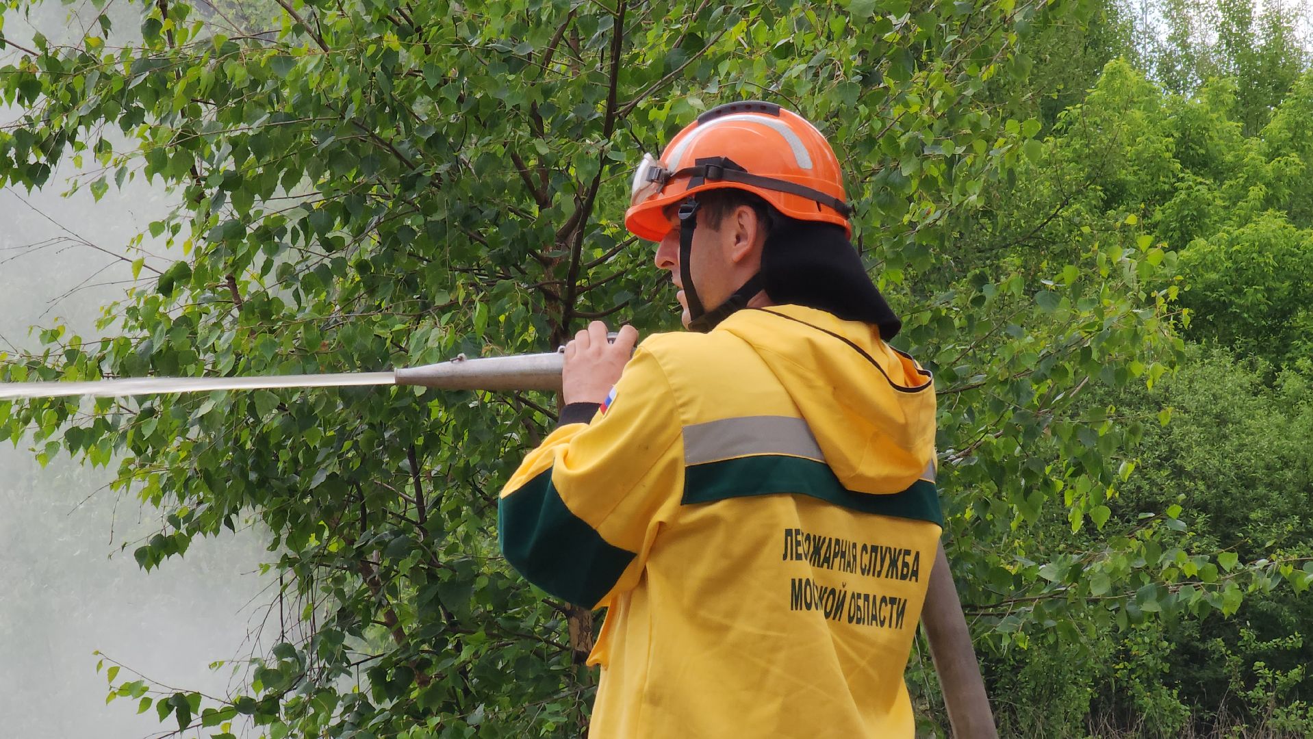 Луховицы, Учения,