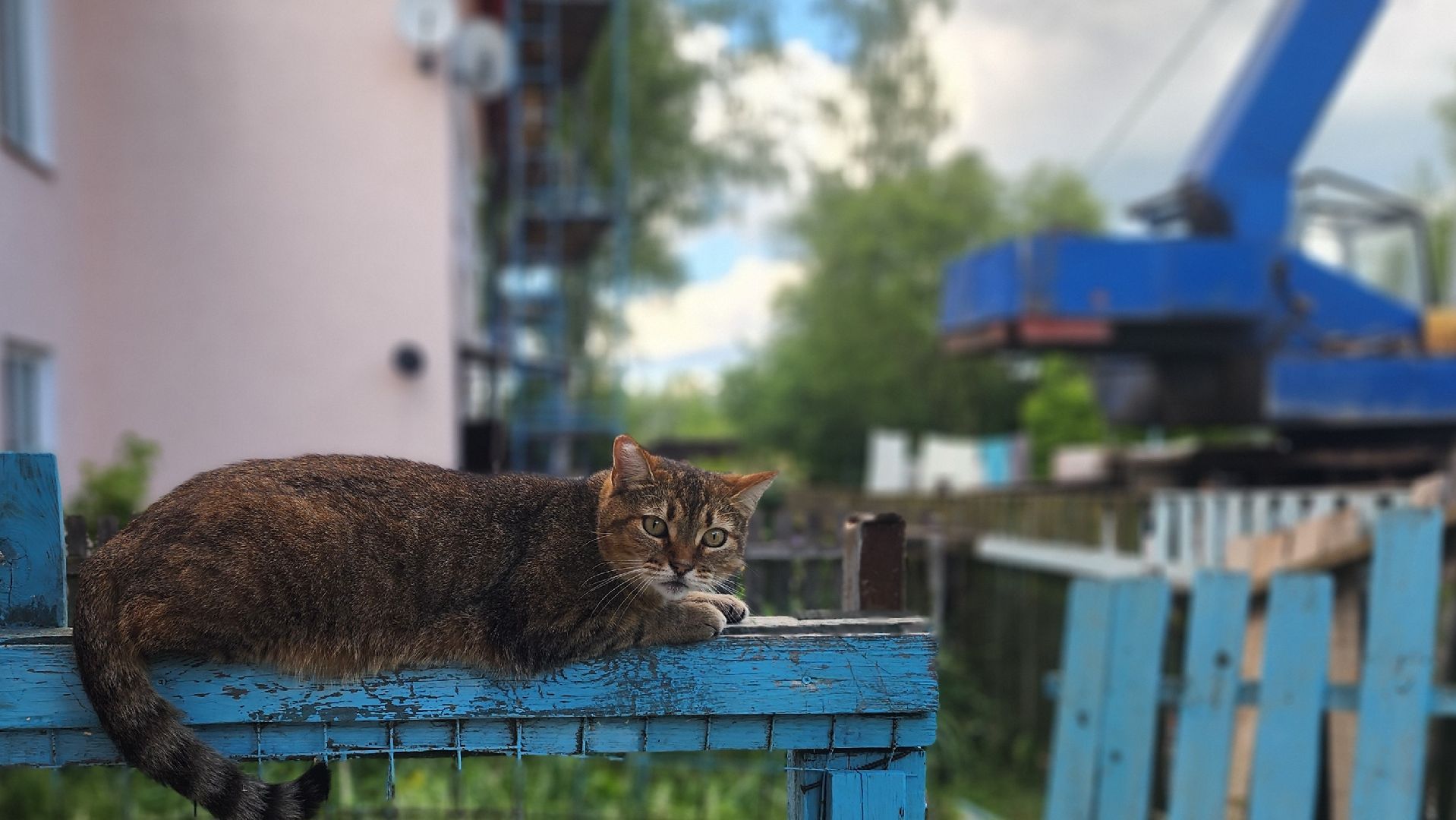 волоколамск, ремонт крыш, замена кровли,