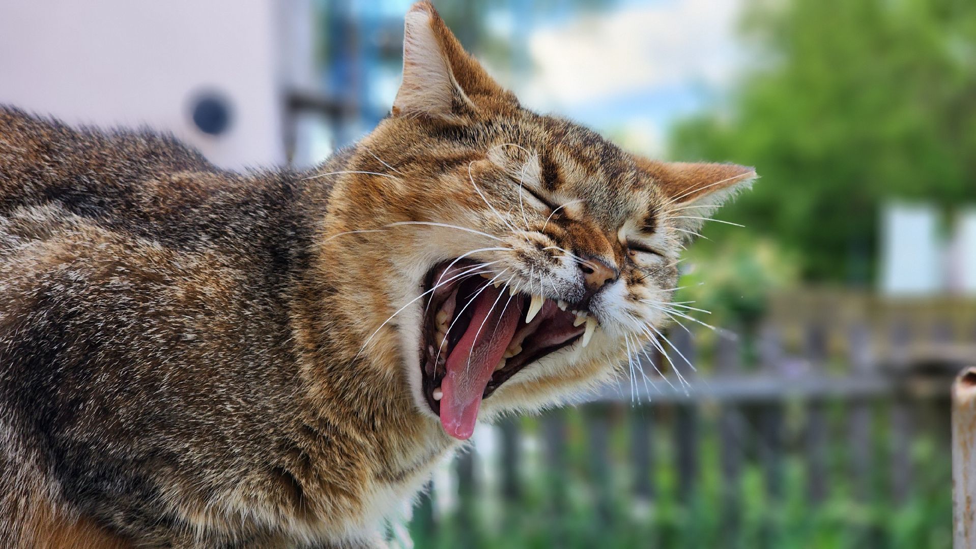 волоколамск, ремонт крыш, замена кровли,