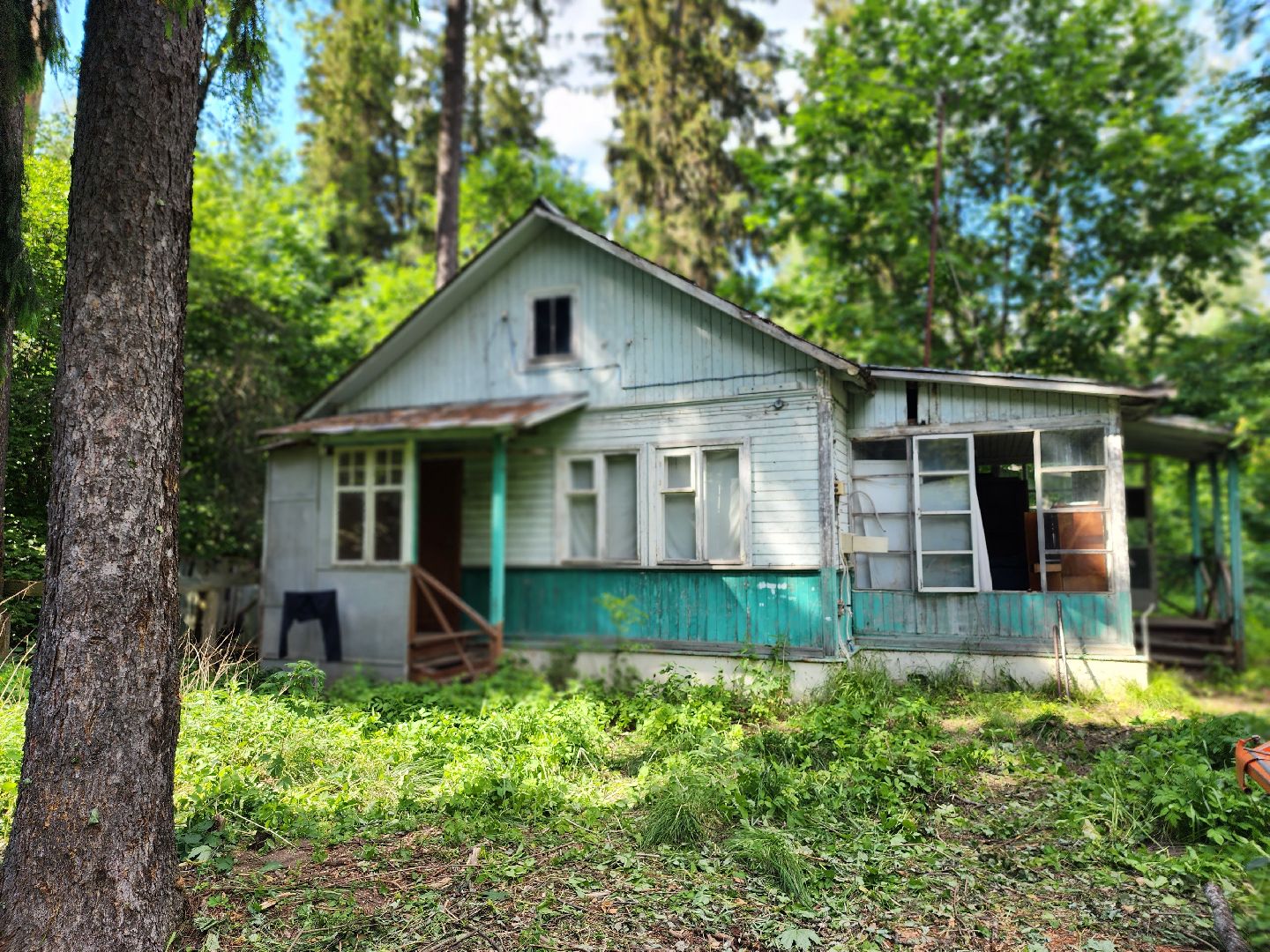 королёв, благоустройство , папанинская дача, парк в королеве,