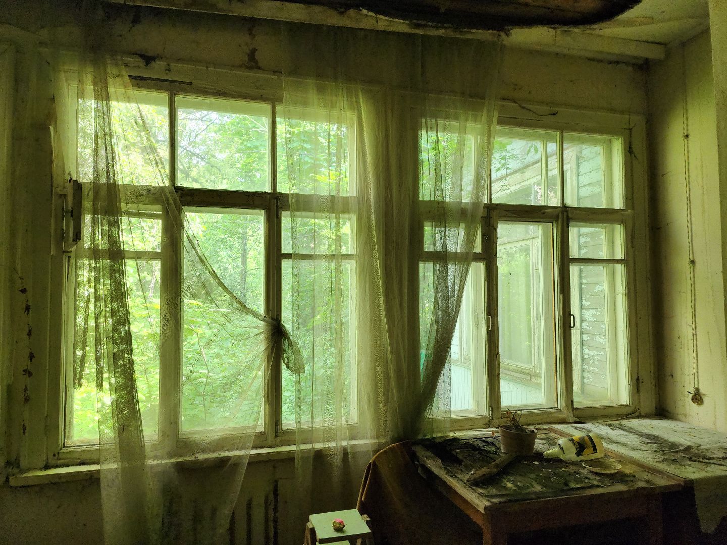 королёв, благоустройство , папанинская дача, парк в королеве,