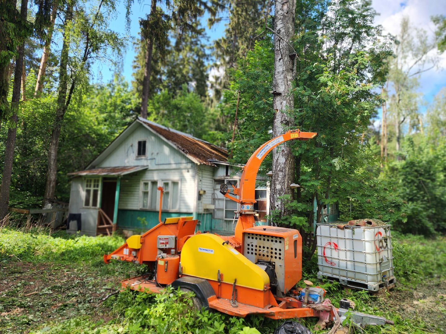 королёв, благоустройство , папанинская дача, парк в королеве,