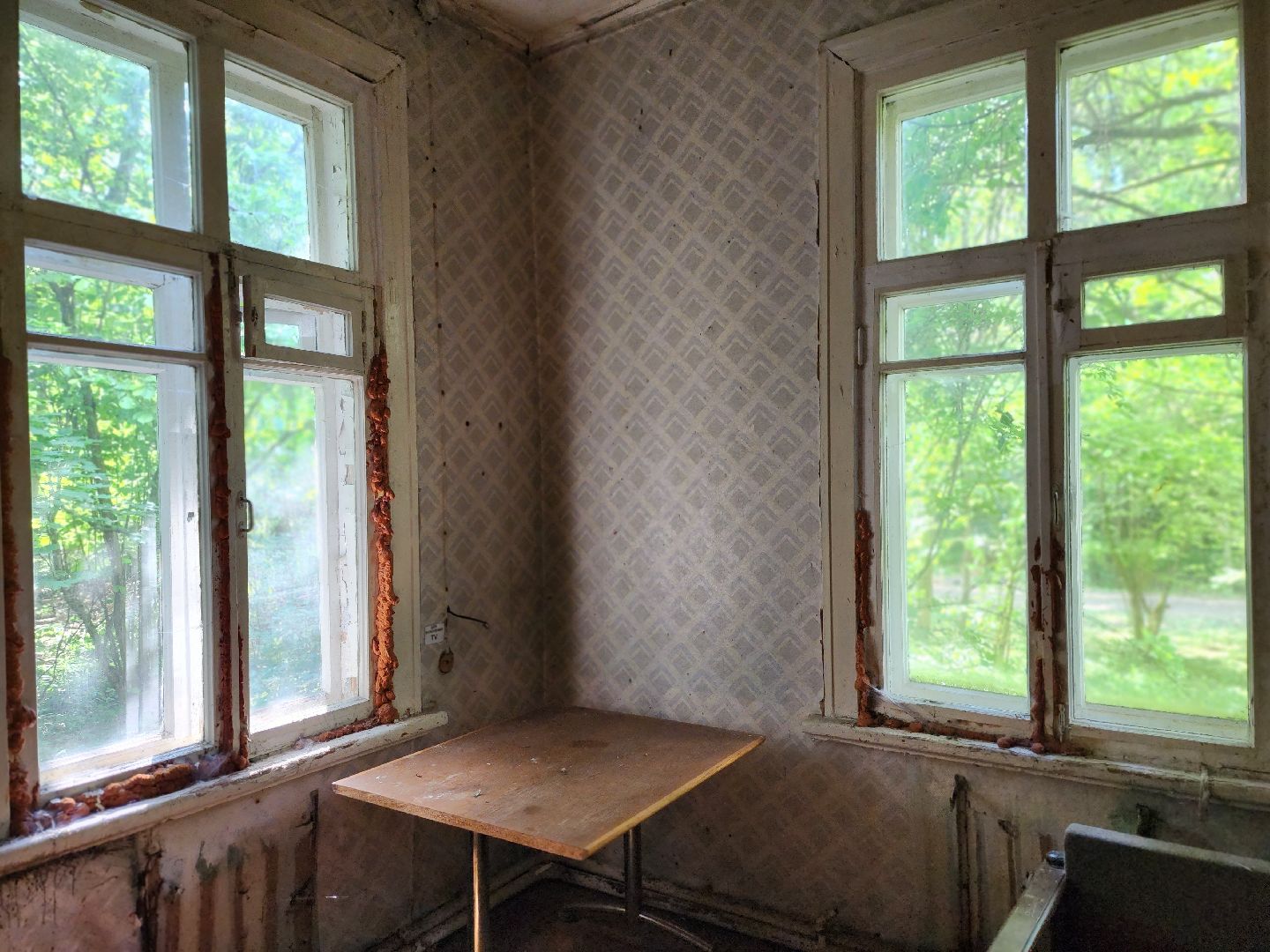 королёв, благоустройство , папанинская дача, парк в королеве,