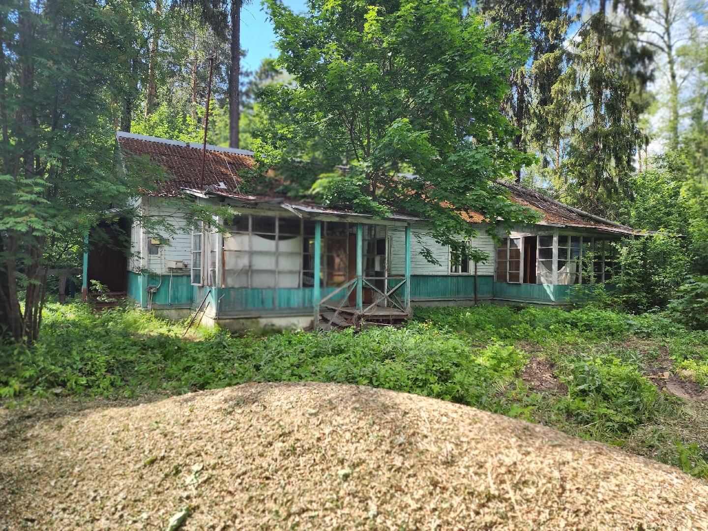 королёв, благоустройство , папанинская дача, парк в королеве,