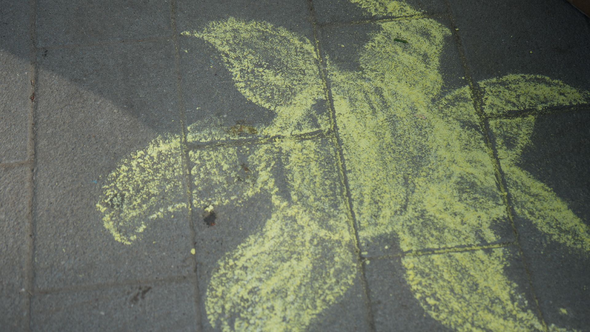 день эколога,