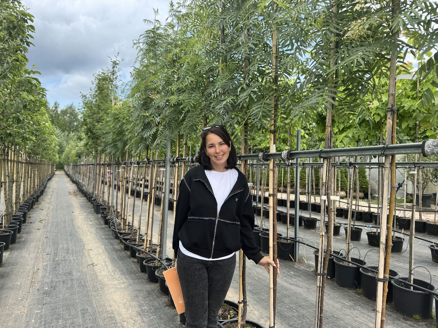 шаховская, питомник, питомник растений,