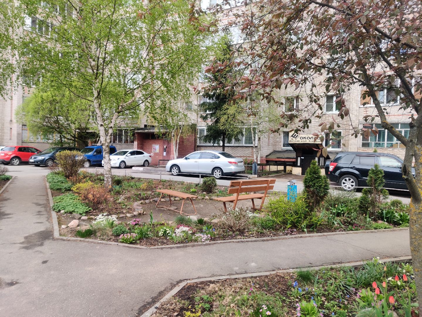 Красноармейск, Пушкинский, сквер, энтузиасты, тюльпаны