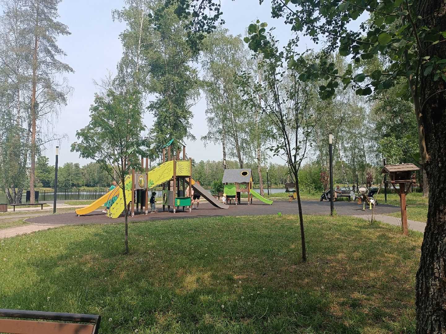 люберцы, день эколога, малаховское озеро, парк, досуг детей, праздник, марафон зеленых дел, экосистема, движение экосистема,