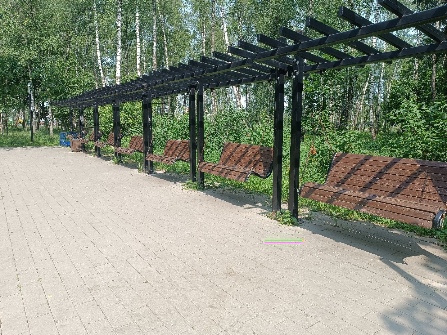 люберцы, день эколога, малаховское озеро, парк, досуг детей, праздник, марафон зеленых дел, экосистема, движение экосистема,