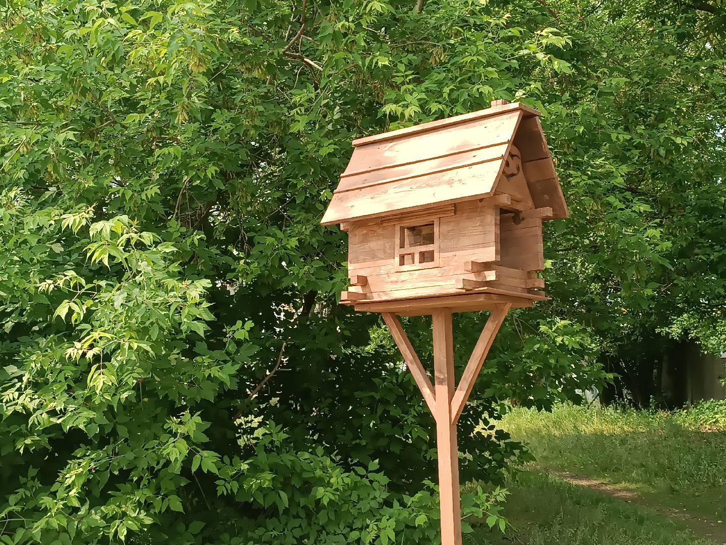 люберцы, день эколога, малаховское озеро, парк, досуг детей, праздник, марафон зеленых дел, экосистема, движение экосистема,