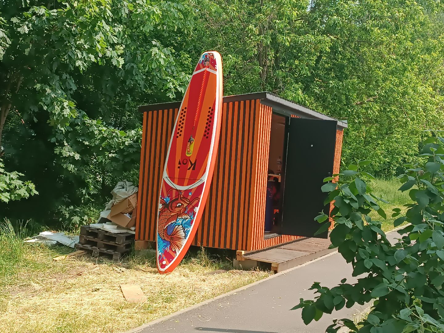 люберцы, день эколога, малаховское озеро, парк, досуг детей, праздник, марафон зеленых дел, экосистема, движение экосистема,