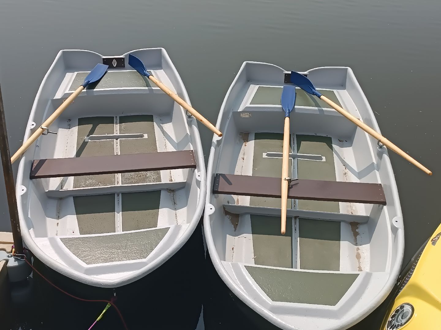 люберцы, день эколога, малаховское озеро, парк, досуг детей, праздник, марафон зеленых дел, экосистема, движение экосистема,