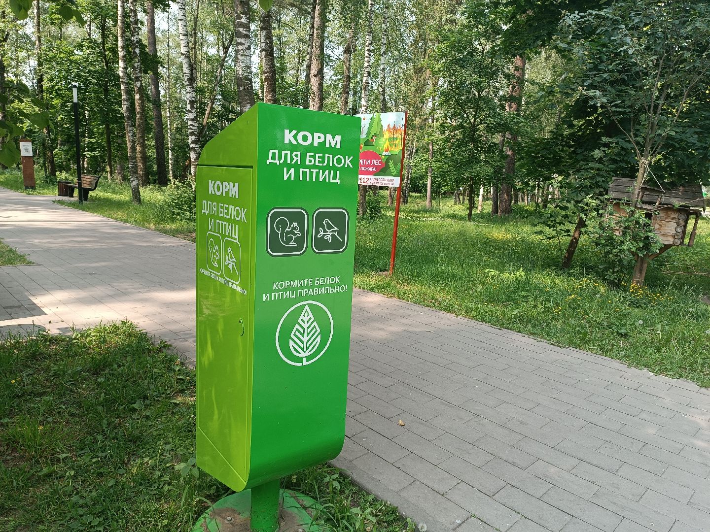 люберцы, день эколога, малаховское озеро, парк, досуг детей, праздник, марафон зеленых дел, экосистема, движение экосистема,