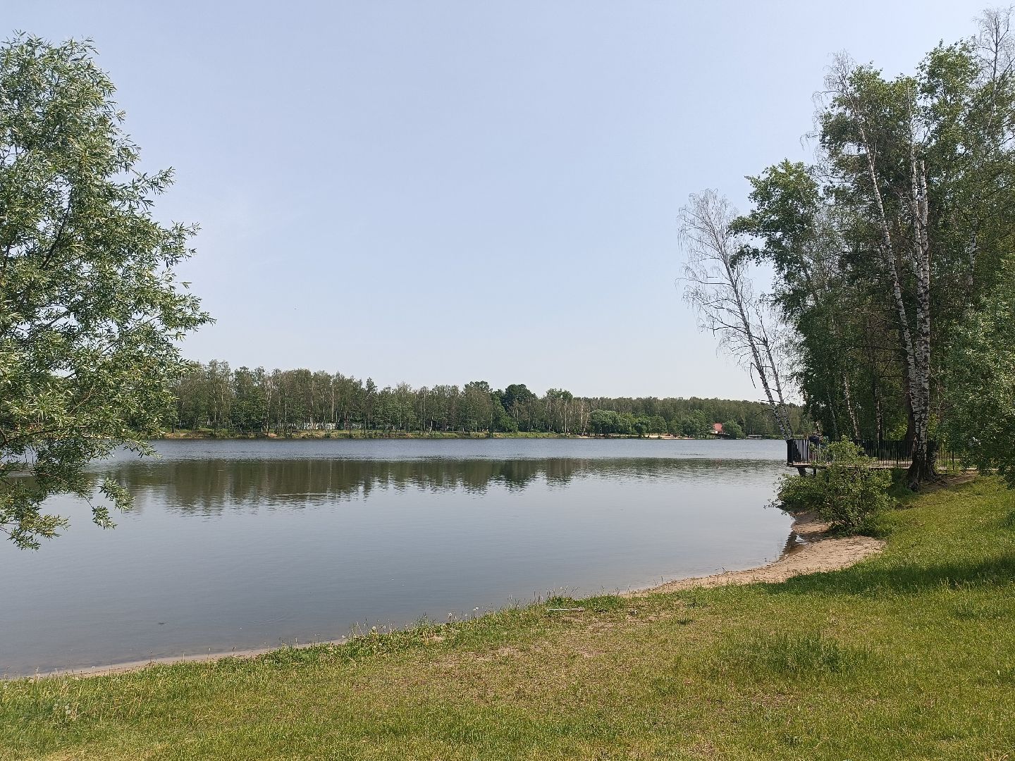 люберцы, день эколога, малаховское озеро, парк, досуг детей, праздник, марафон зеленых дел, экосистема, движение экосистема,