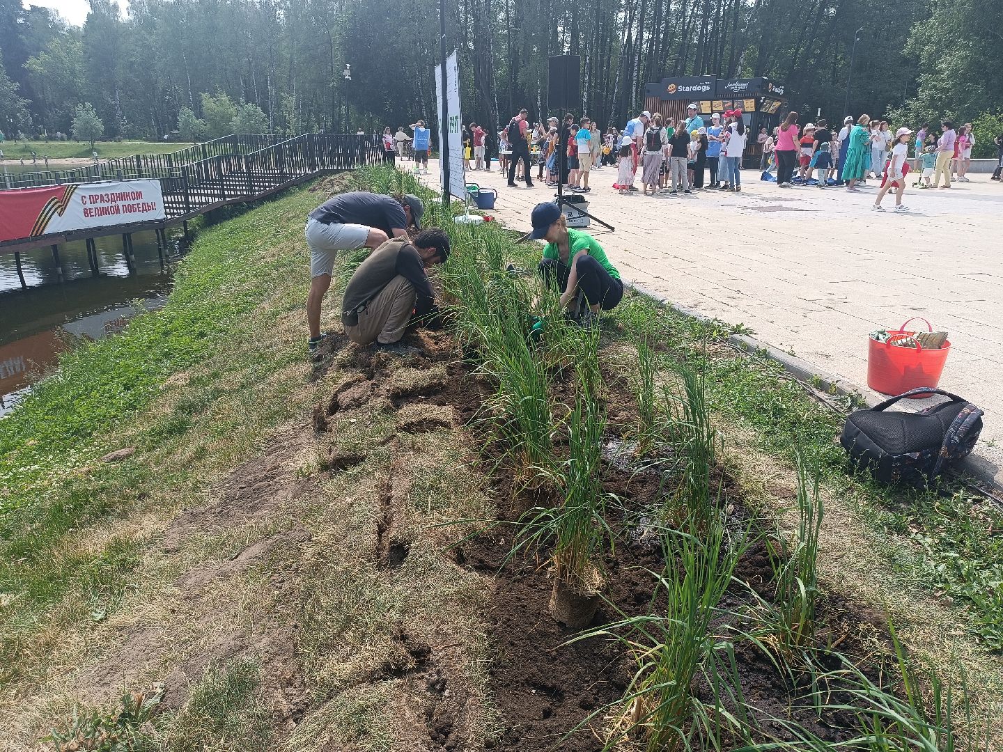 люберцы, день эколога, малаховское озеро, парк, досуг детей, праздник, марафон зеленых дел, экосистема, движение экосистема,