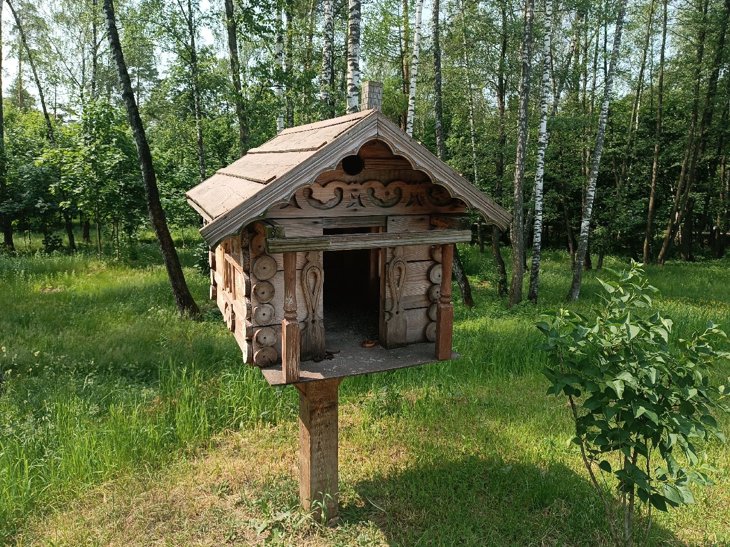 люберцы, день эколога, малаховское озеро, парк, досуг детей, праздник, марафон зеленых дел, экосистема, движение экосистема,