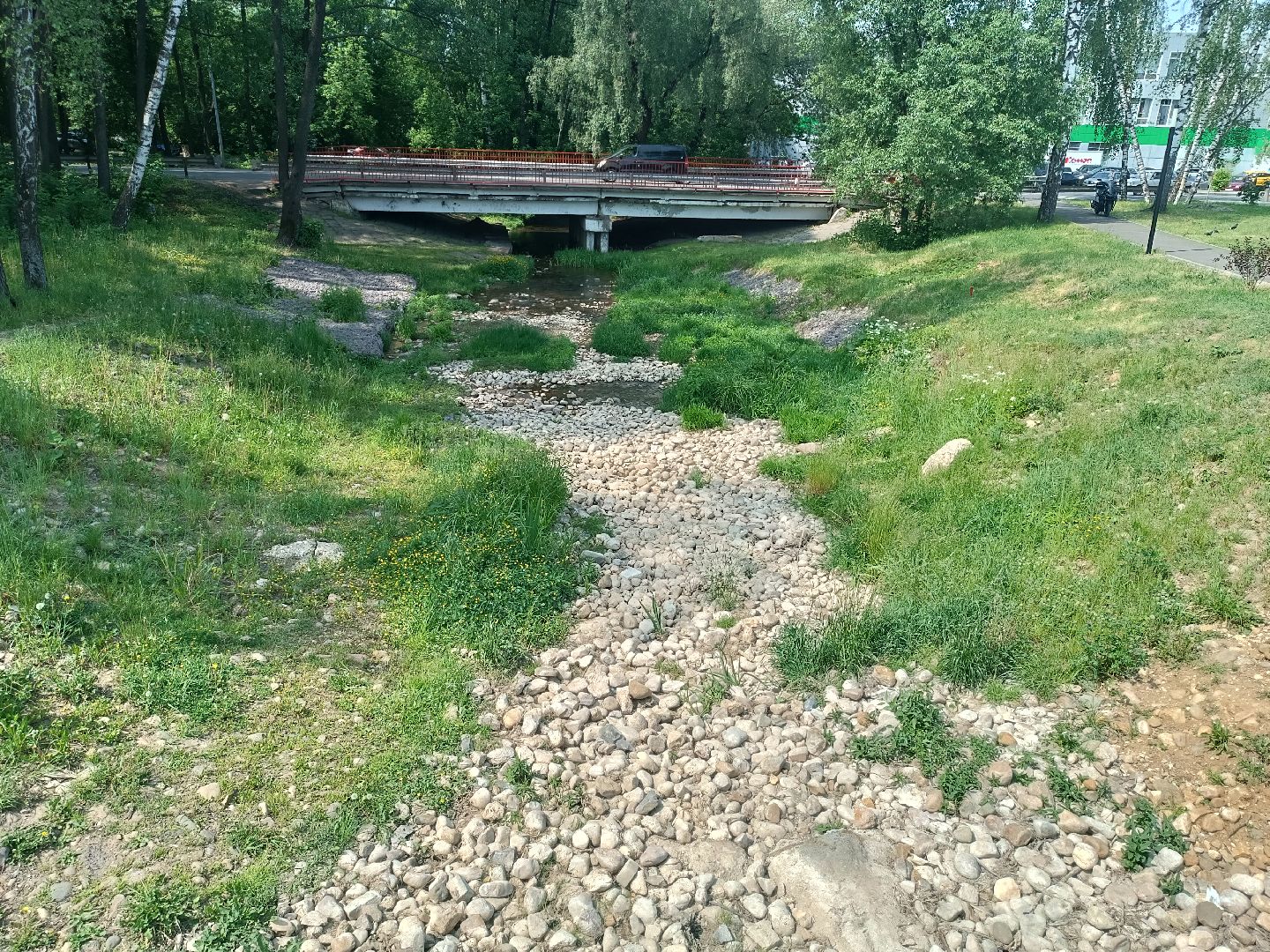 люберцы, день эколога, малаховское озеро, парк, досуг детей, праздник, марафон зеленых дел, экосистема, движение экосистема,