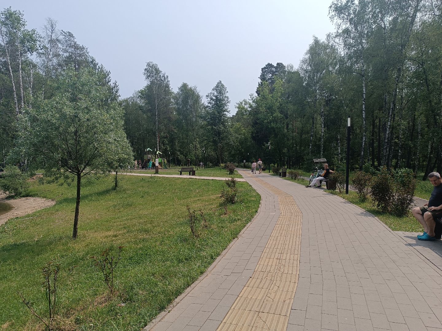 люберцы, день эколога, малаховское озеро, парк, досуг детей, праздник, марафон зеленых дел, экосистема, движение экосистема,