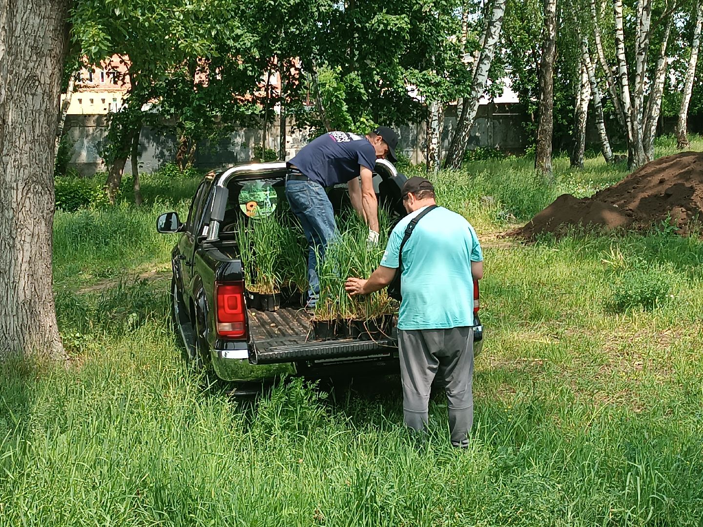 люберцы, день эколога, малаховское озеро, парк, досуг детей, праздник, марафон зеленых дел, экосистема, движение экосистема,