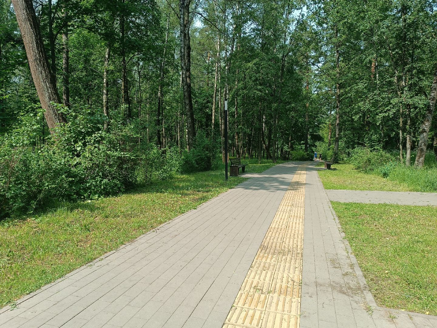 люберцы, день эколога, малаховское озеро, парк, досуг детей, праздник, марафон зеленых дел, экосистема, движение экосистема,