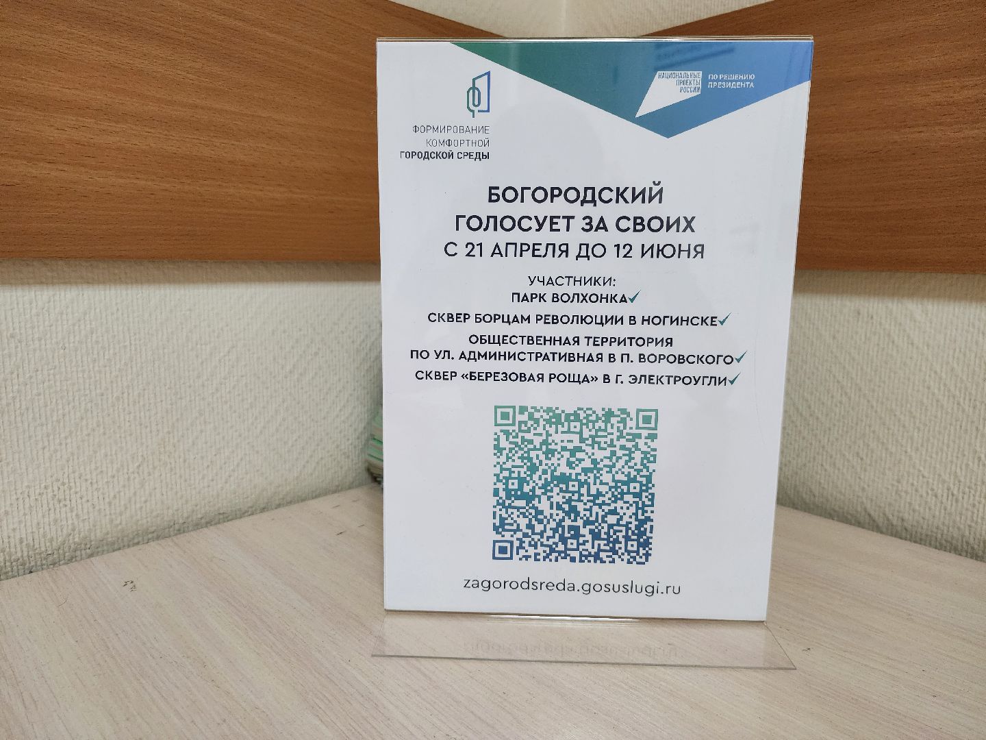 волонтерство, волонтеры подмосковья, добровольчество, ногинск, богородский городской округ,
