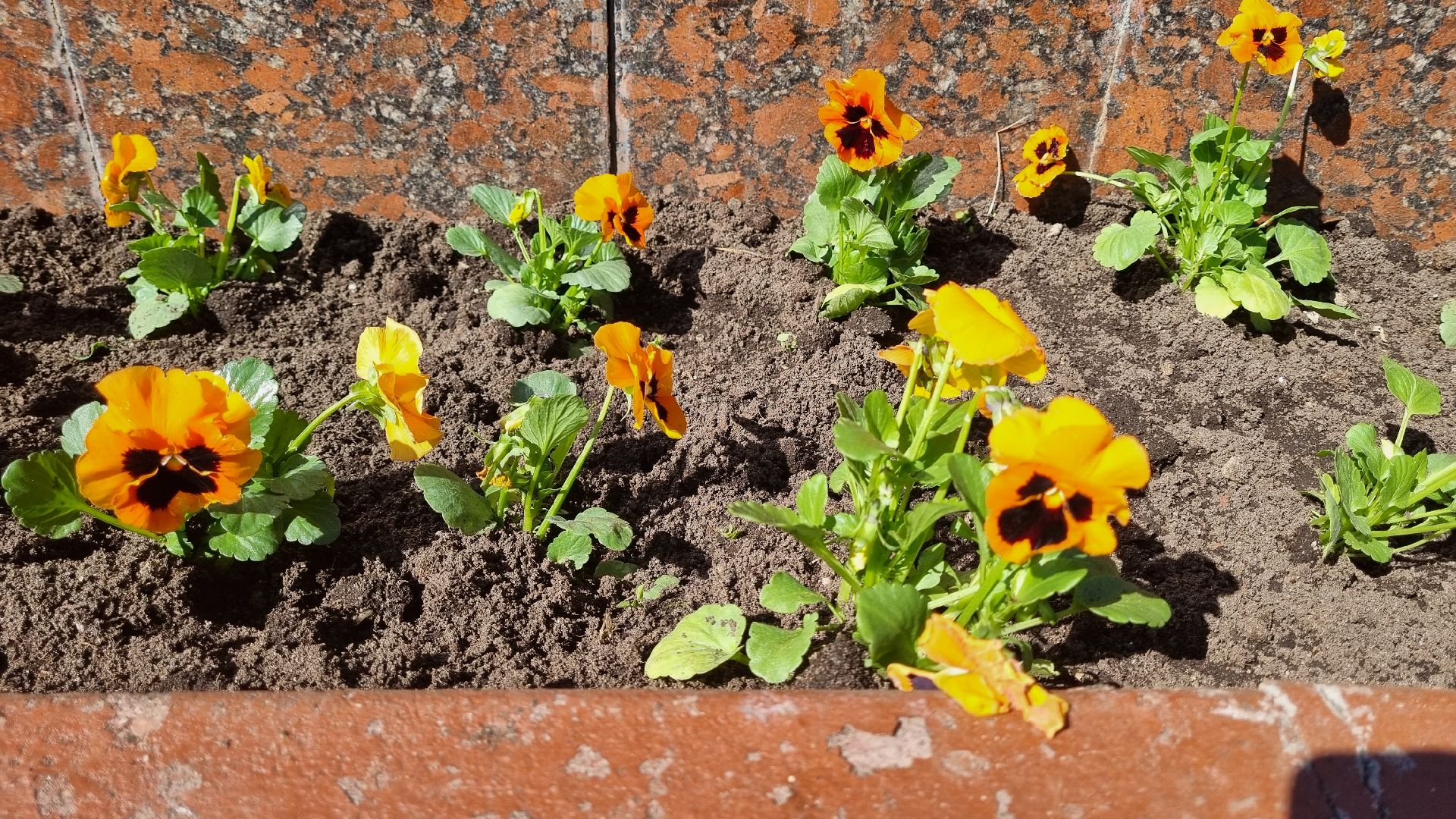 Подмосковье, Ивантеевка, благоустройство