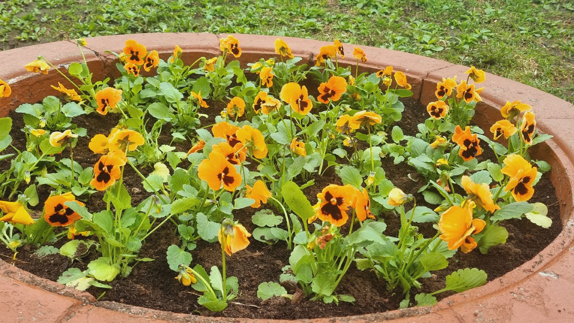 Подмосковье, Ивантеевка, благоустройство