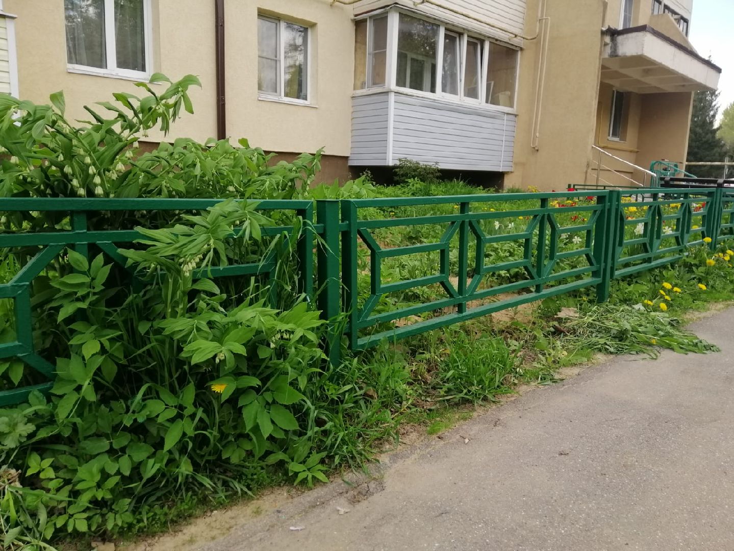 городской округ восход, благоустройство, покраска забора,