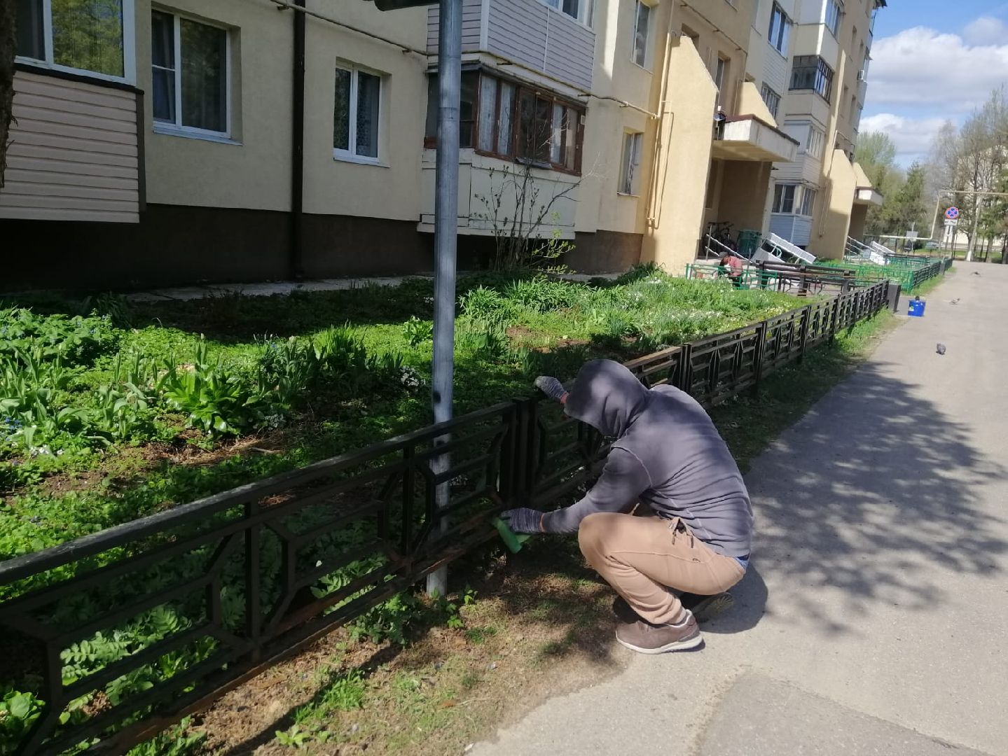 городской округ восход, благоустройство, покраска забора,
