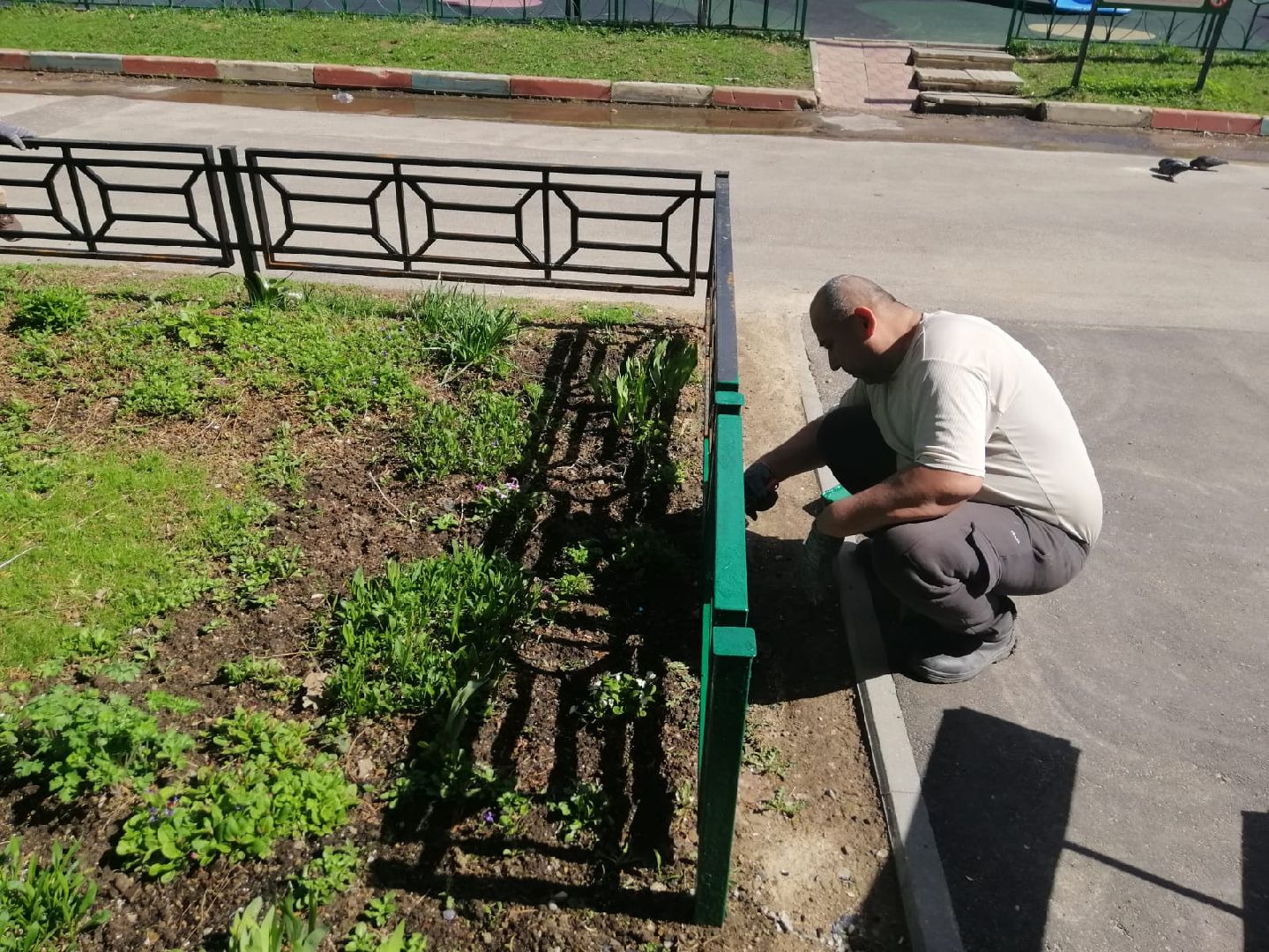 городской округ восход, благоустройство, покраска забора,