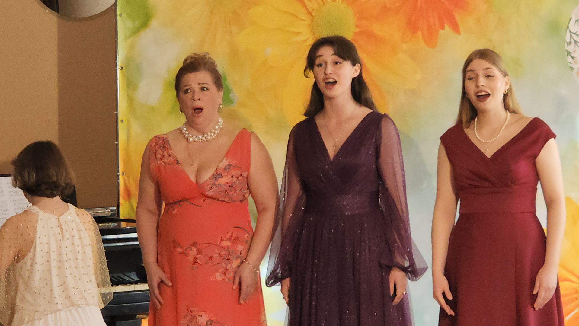 пушкино, вертикалки, концерт, романсы, опера, музыкальный колледж, студенты,артисты,