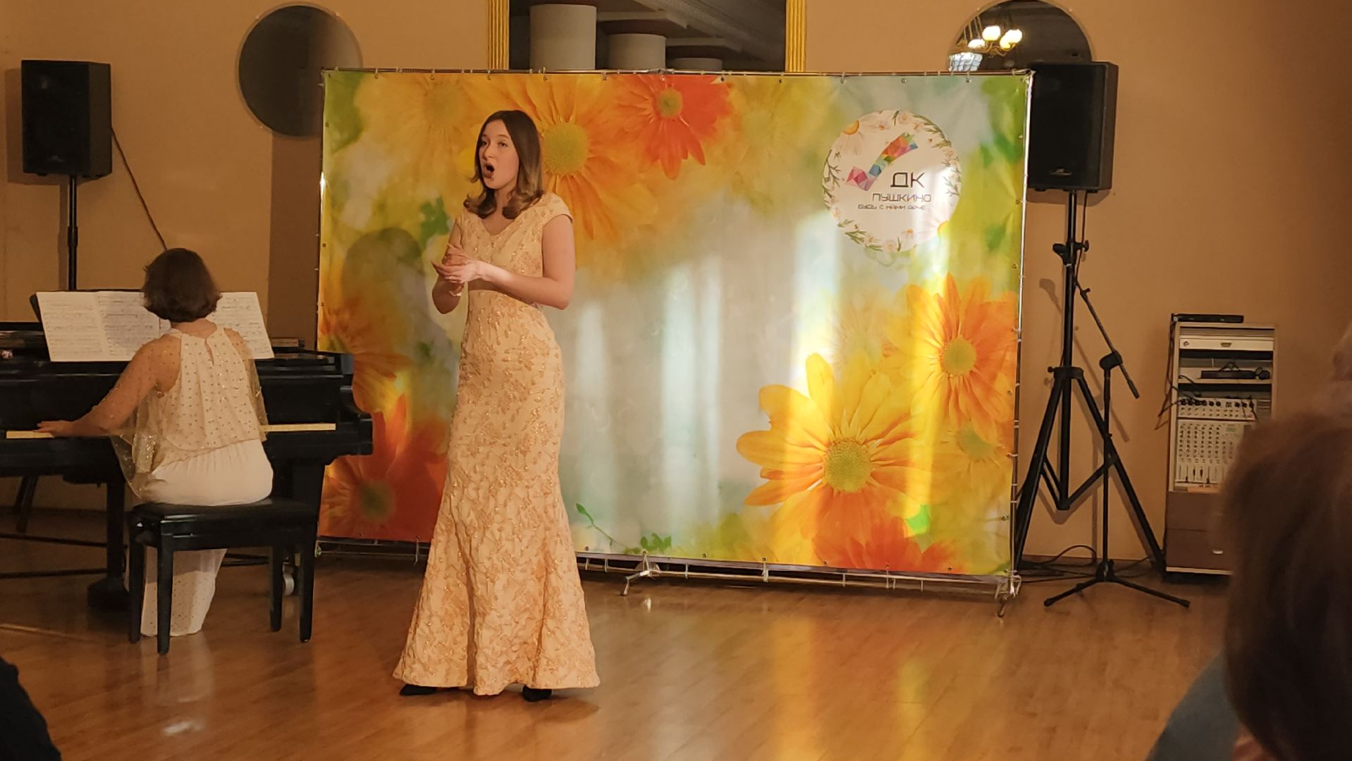 пушкино, вертикалки, концерт, романсы, опера, музыкальный колледж, студенты,артисты,