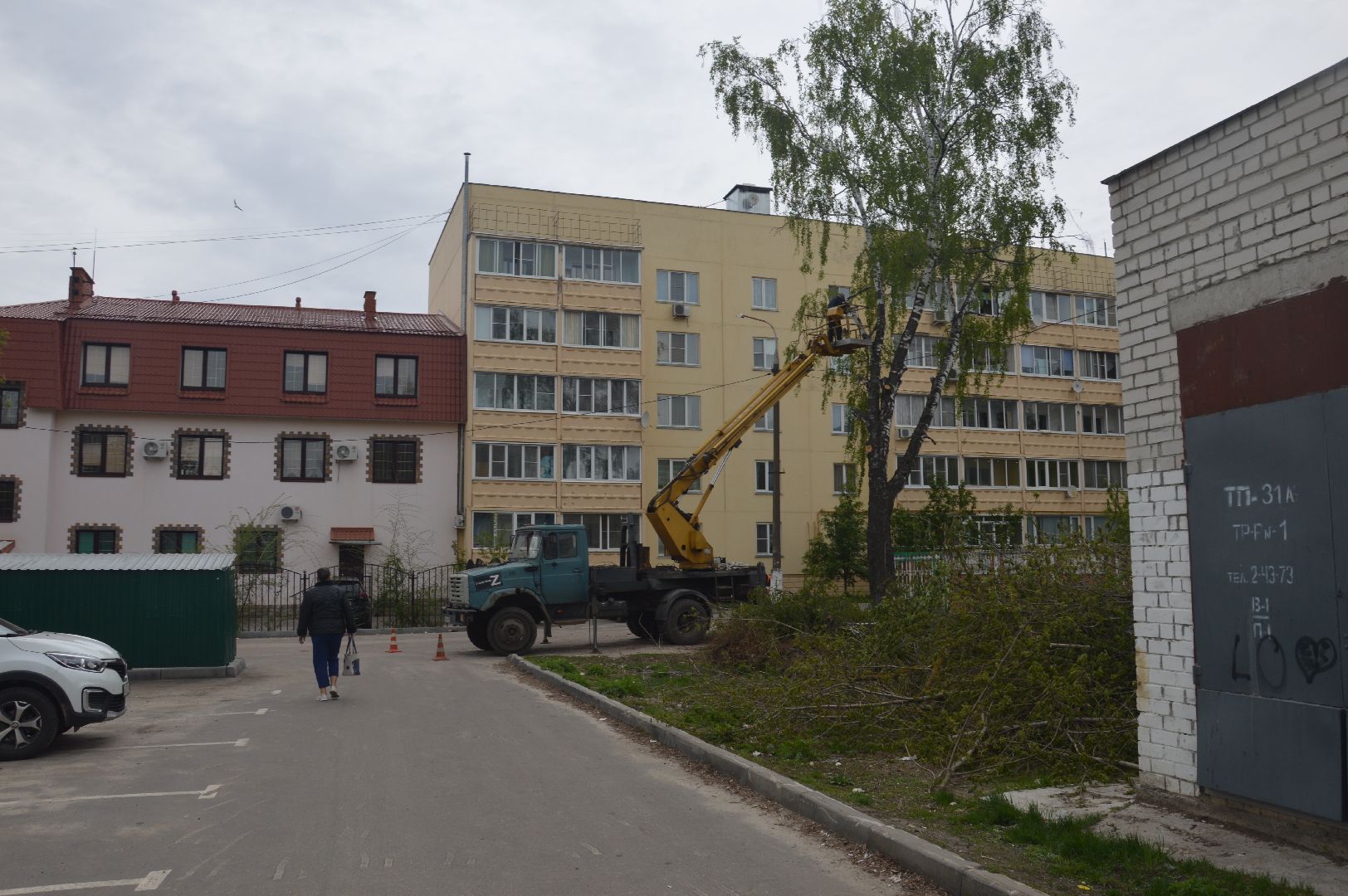 перемены, Шатура, опиловка деревьев, детский сад