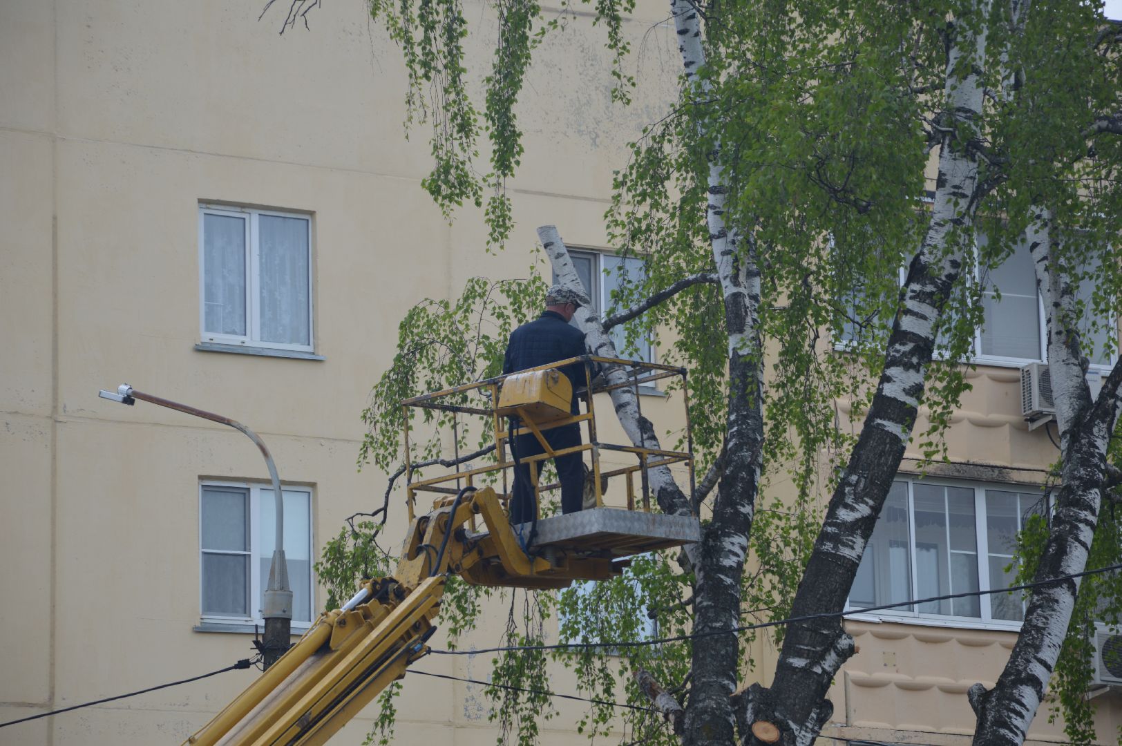 перемены, Шатура, опиловка деревьев, детский сад