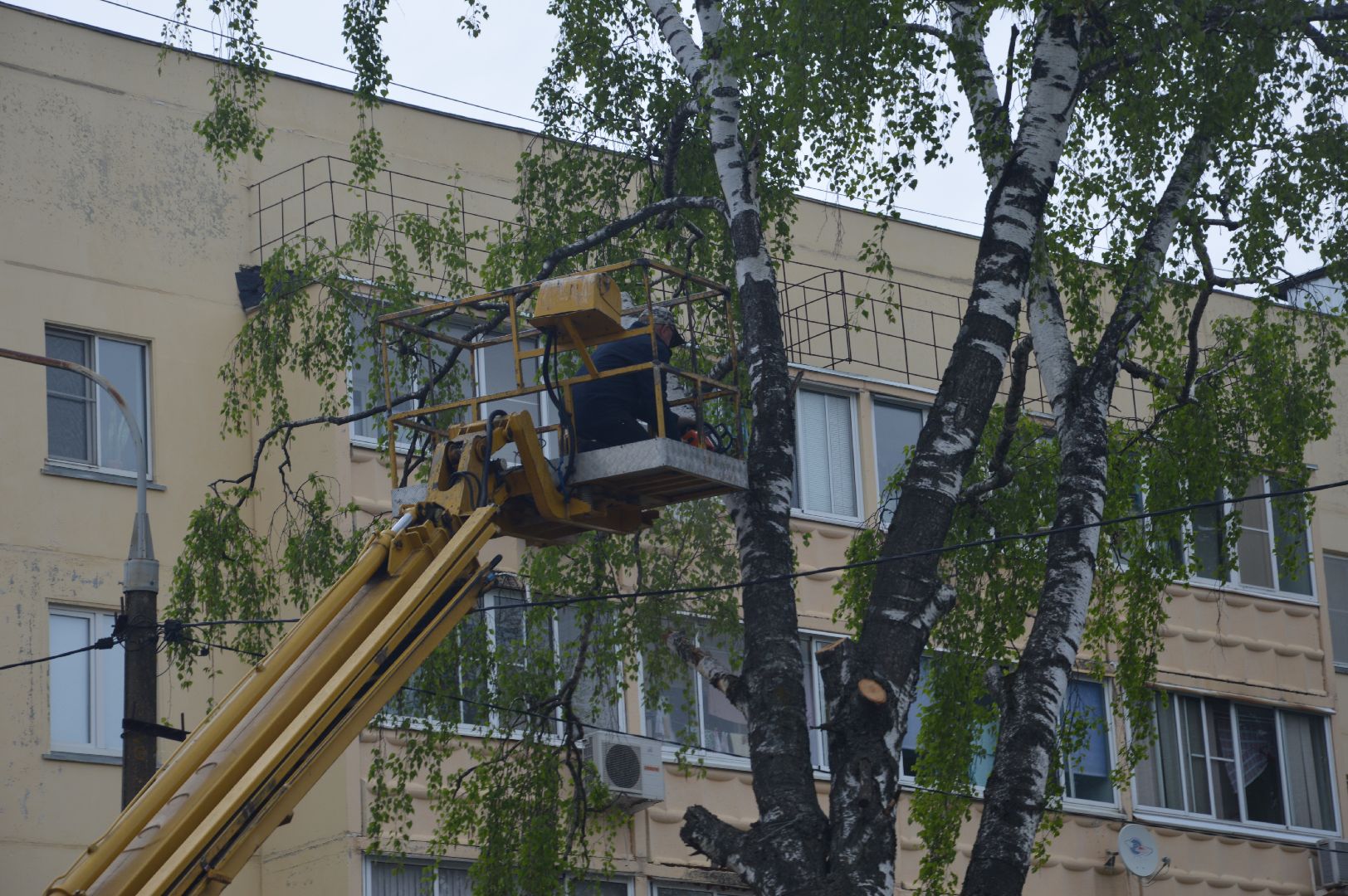 перемены, Шатура, опиловка деревьев, детский сад