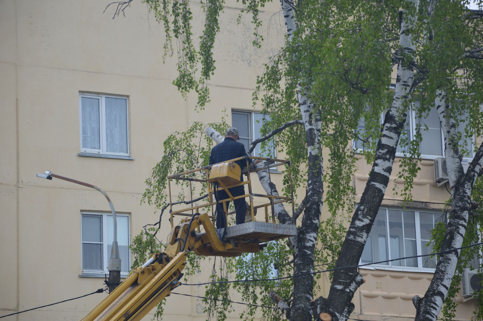 перемены, Шатура, опиловка деревьев, детский сад