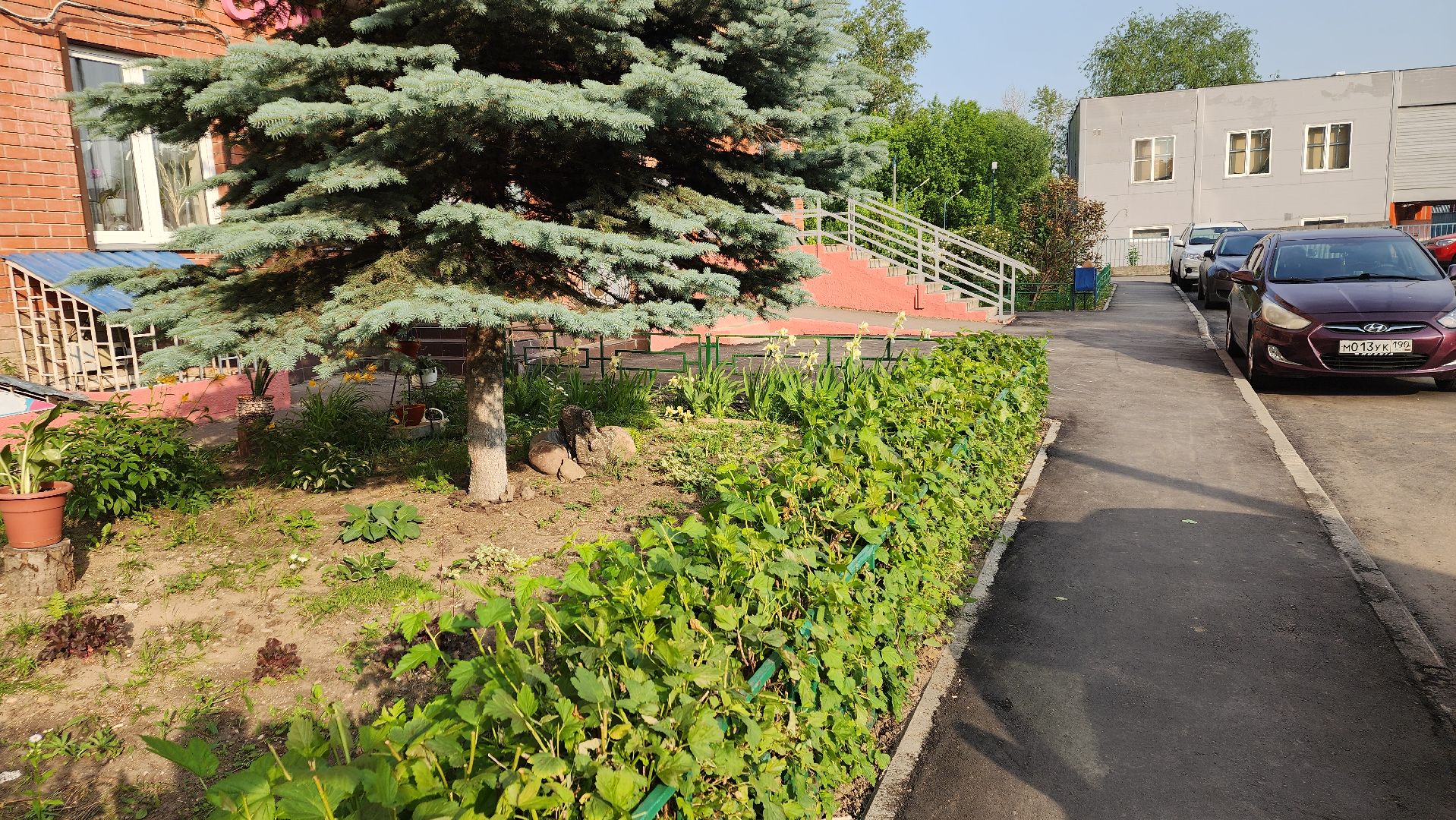 ивантеевка, пушкинский округ, благоустройство,дворовая территория,асфальтирование дворов,благоустроенная территория,вертикалки,