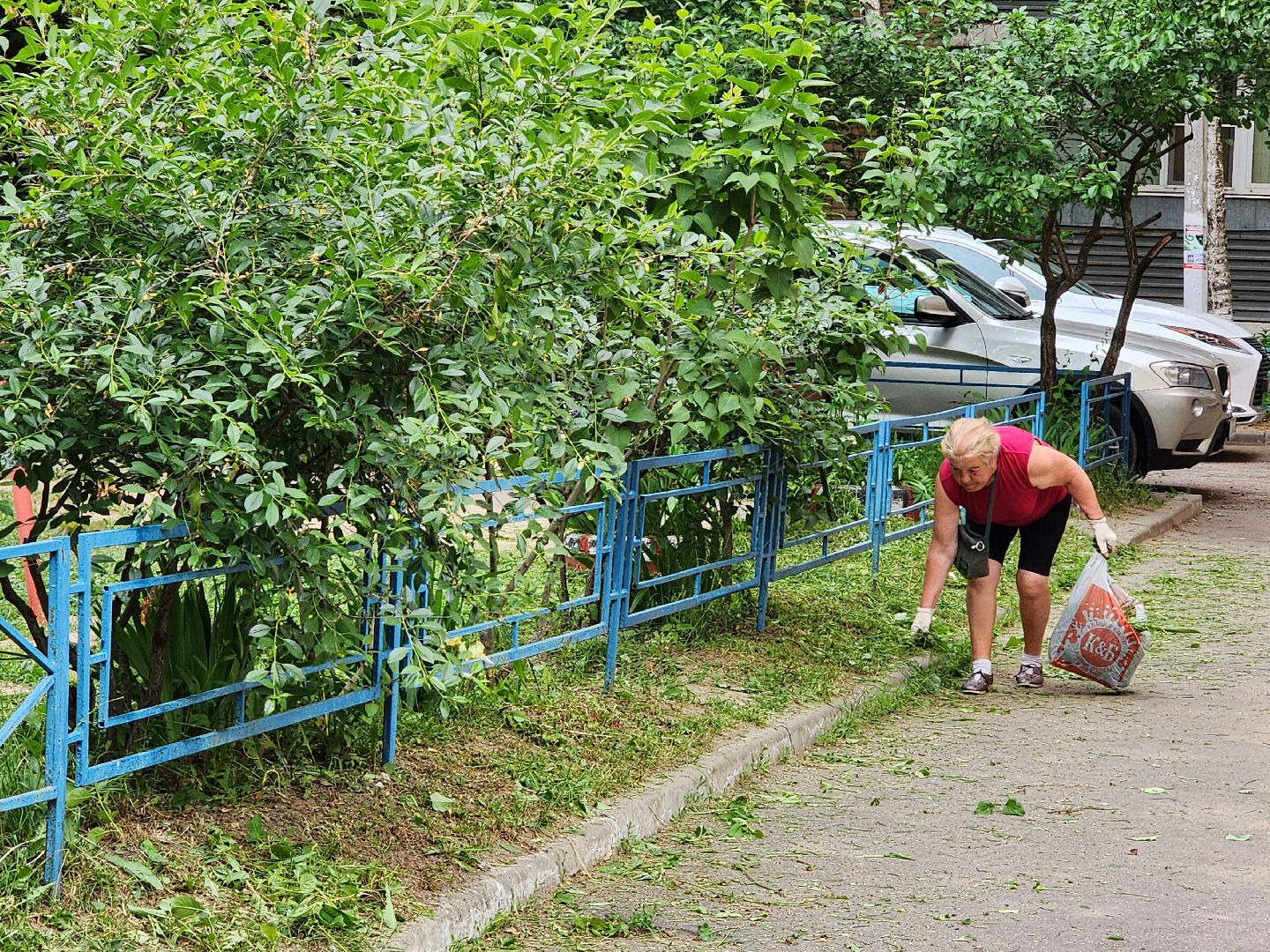 чехов, улица чехова 4,  детская  площадка, придомовая территория, покос травы, уборка мусора, мбу чеховское благоустройство, газон, газонокосилка,