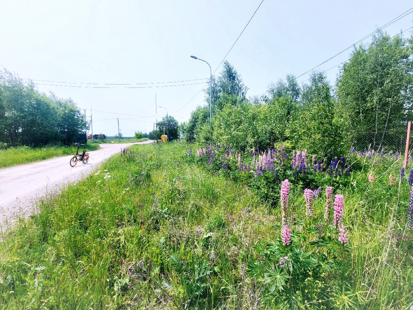 Пущино , серпухов, лето в подмосковье,