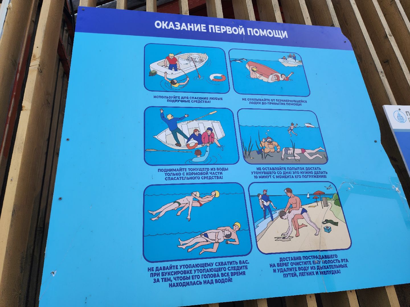 солнечногорск, пляж, лето, сенеж, жители ,