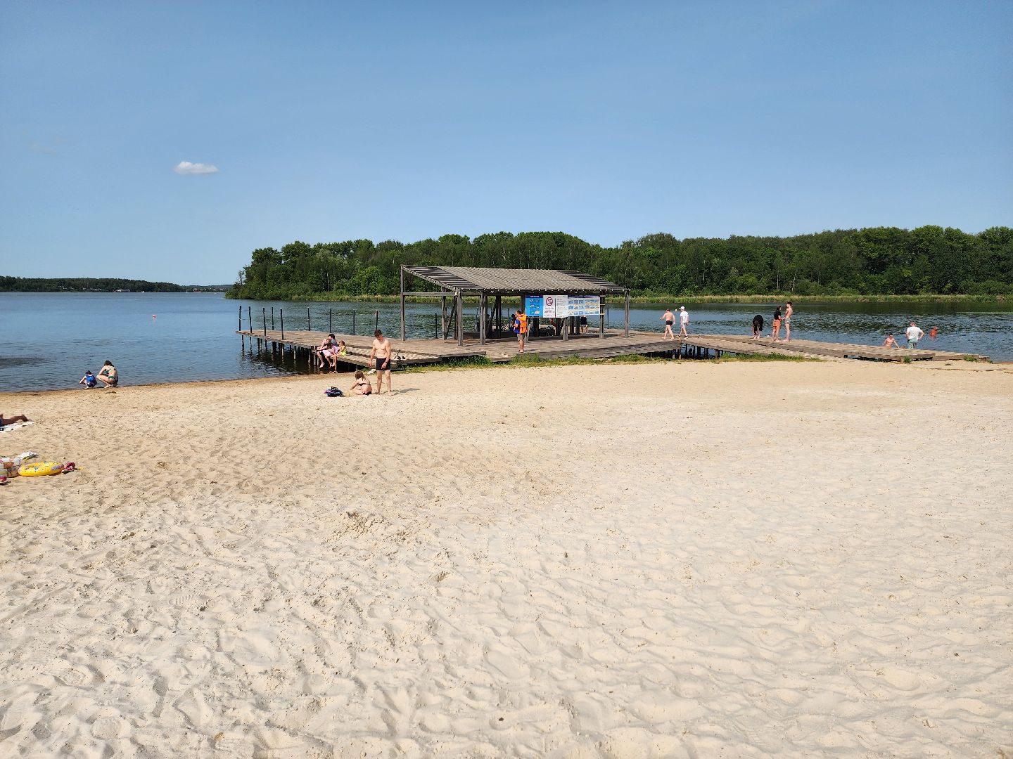 солнечногорск, пляж, лето, сенеж, жители ,