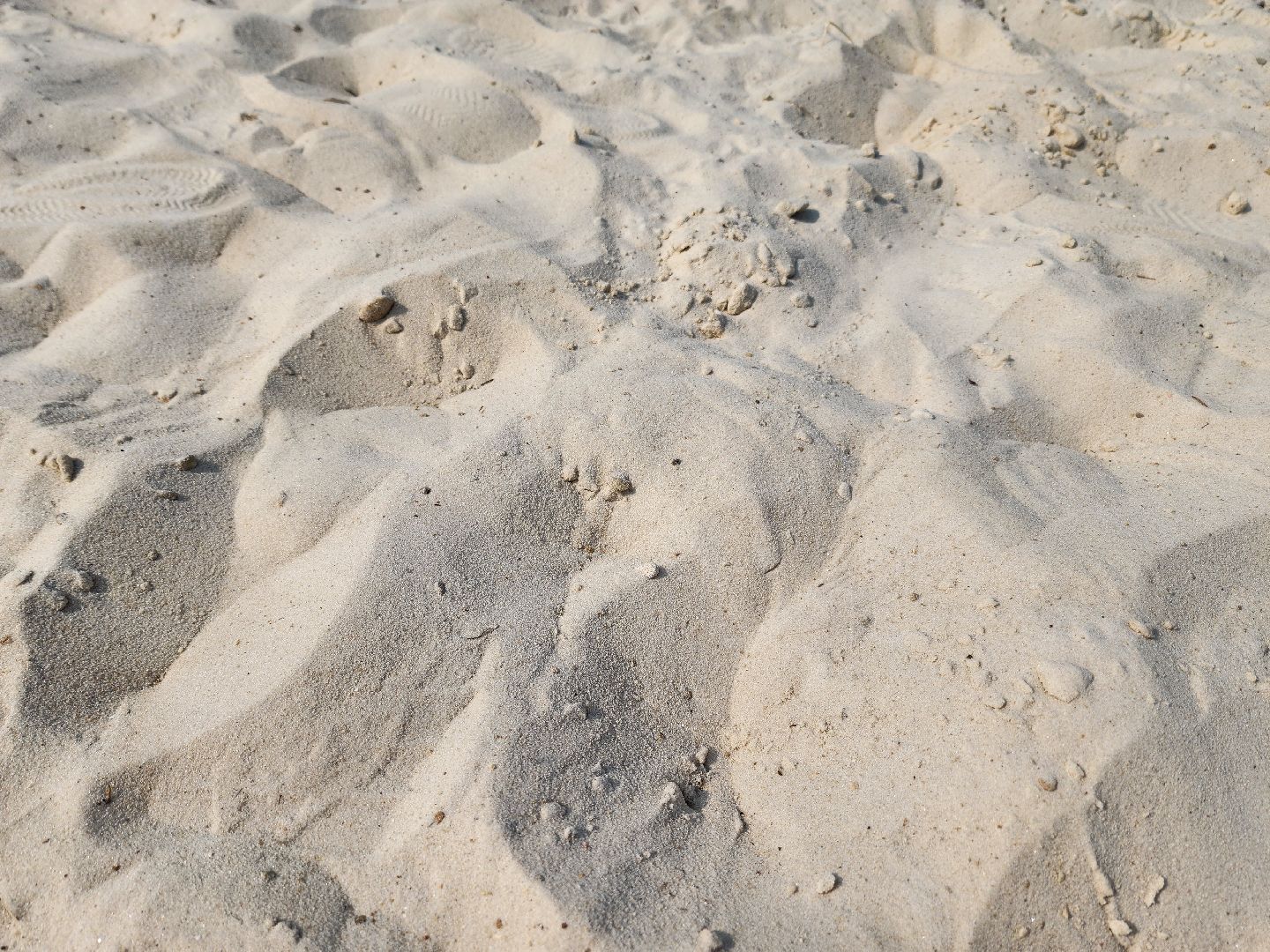 солнечногорск, пляж, лето, сенеж, жители ,